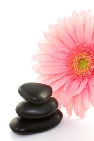 Pink flower and masage stones isolated on a white background.の写真素材