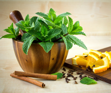 Mortar and pestle, with mint, spices and orange.の写真素材