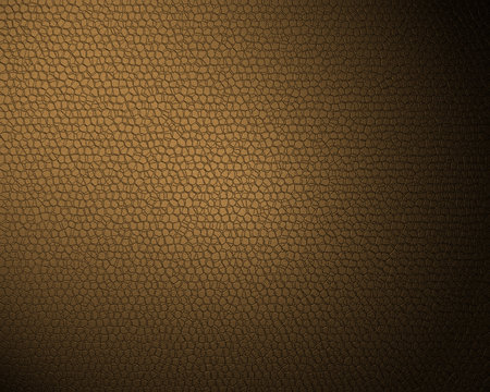Leather texture backgrounds.の写真素材