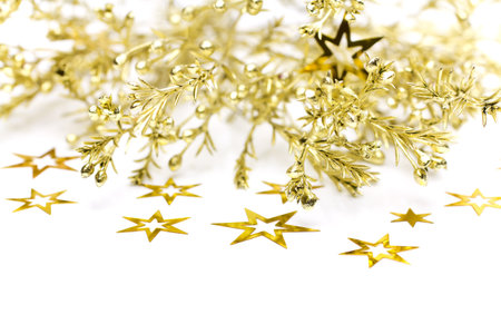 Conifer branch with gold stars on a white background.の写真素材
