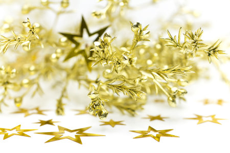 Conifer branch with gold stars on a white background.の写真素材