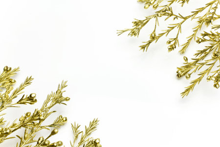 Conifer branch of gold on a white background.の写真素材