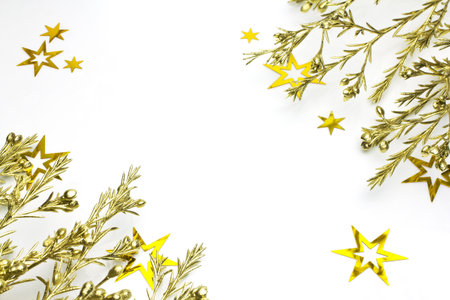 Conifer branch with gold stars on a white background.の写真素材