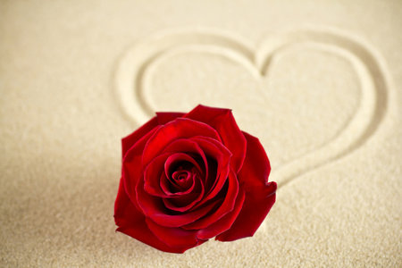 Red rose on the sandy surface of the heart.の写真素材