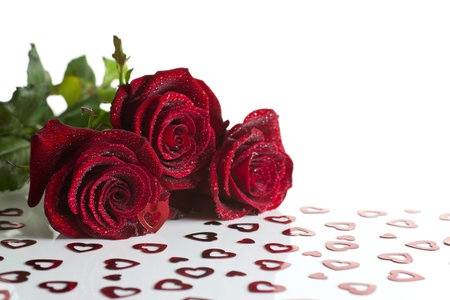 Roses with dew drops on the hearts on a white background.の写真素材