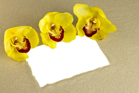 The sand white card with yellow orchid flowers.の写真素材