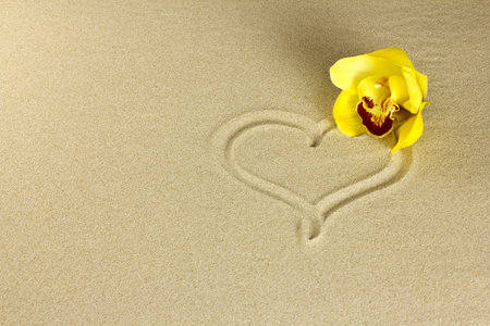 Heart on the sand with yellow orchid flower.の写真素材