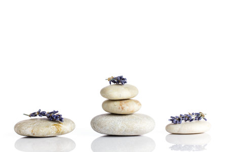 Spa stones and lavender dry flower, isolated on white background の写真素材