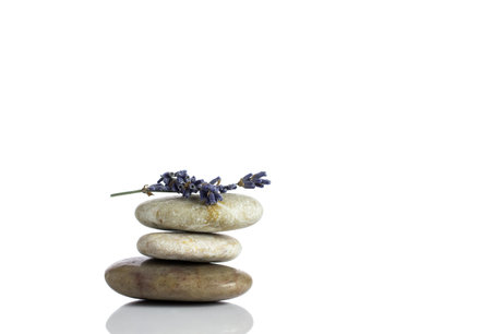 Spa stones and lavender dry flower, isolated on white background 