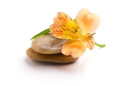 Spa stones and orange flower, isolated on white background.の写真素材