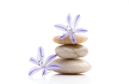 Spa stones and lilac flower, isolated on white background.の写真素材