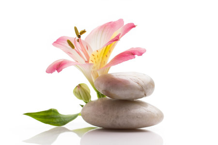 Spa stones and pink flower, isolated on white background.の写真素材