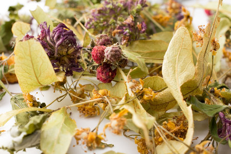 Dry herbal tea isolated on the white background の写真素材