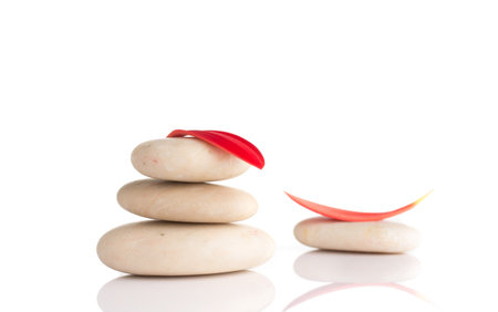 Spa stones and red gerber petals isolated on the white background.の写真素材
