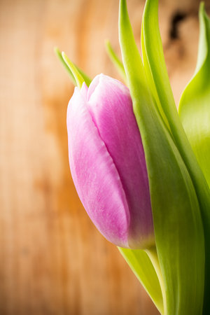 Spring tulips bouquet over wood background の写真素材