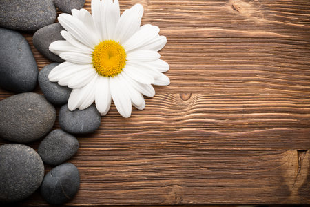 Balanced spa stones with camomile flower and wooden  background.の写真素材