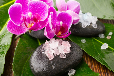 Sea salt and pink orchid, spa stones.の写真素材