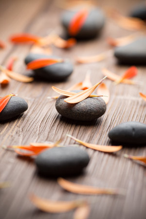 Gerbera flower petals and spa stones, wooden background.の写真素材