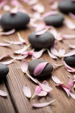 Spa stones with flower petals. Relaxing massage.の写真素材