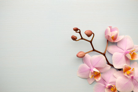 Oatmeal cookies with wooden background.の写真素材