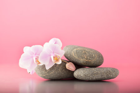 Spa stones on pink background with orchids.の写真素材