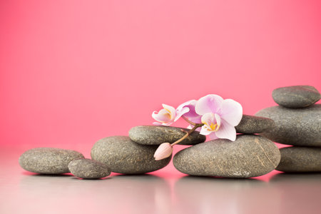 Spa stones on pink background with orchids.の写真素材