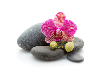 Spa masage stones and orchid isolated on the white background.の写真素材