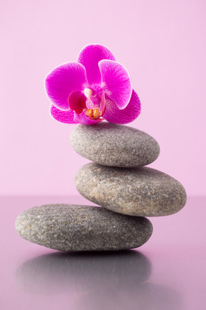 Spa stones pink orchid and pink background.の写真素材