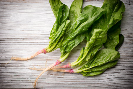 Spinach with roots on the wooden background.の写真素材