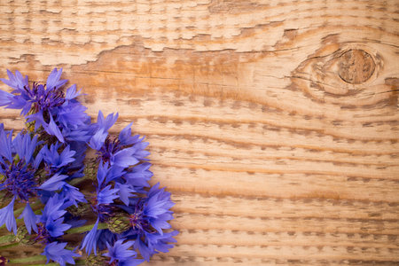 Cornflower on wooden background. Studio photography. Eco flowers.の写真素材