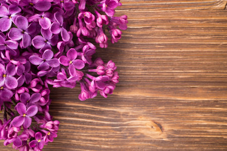 Purple lilac on a wooden background. Studio photography.の写真素材