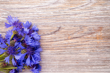 Cornflower on wooden background. Studio photography. Eco flowers.の写真素材