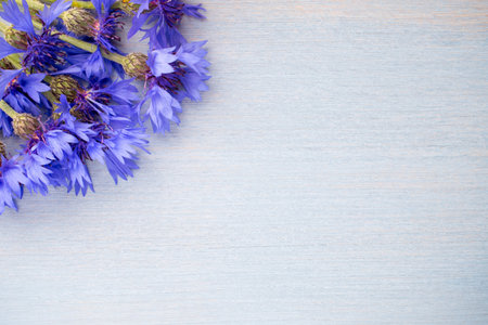 Cornflower on wooden background. Studio photography. Eco flowers.の写真素材