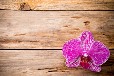 Orchids flowers on wooden background spa massage stones.