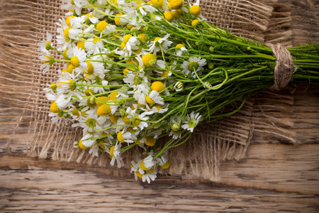 Chamomile flowers on a wooden background. Studio photography.の写真素材