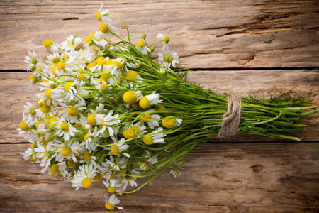 Chamomile flowers on a wooden background. Studio photography.の写真素材