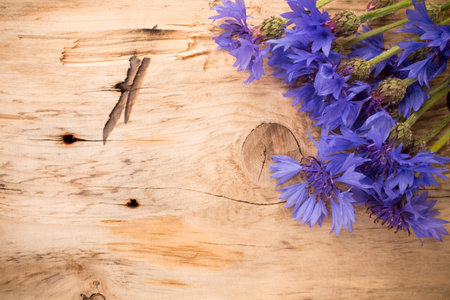 Cornflower on wooden background. Studio photography. Eco flowers.の写真素材
