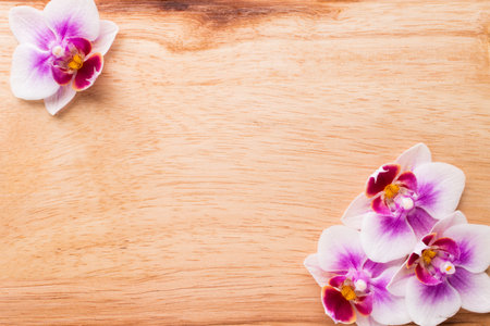 Orchids bloom. White with pink color. Spa card.の写真素材