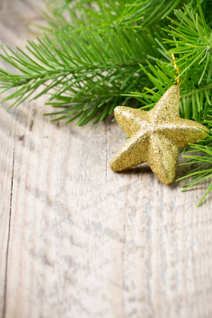 Spruce twigs on a wooden background, photo studio.の写真素材