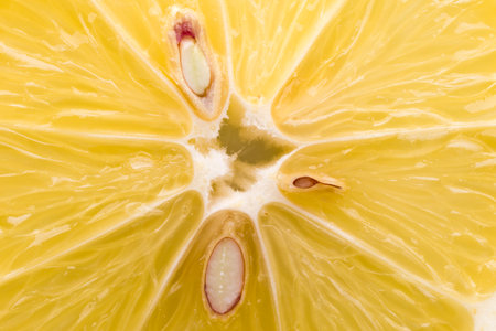 Section of lemon. Lemon background.の写真素材