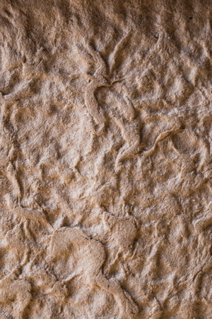 Old paper grunge textured. Studio photography.の写真素材