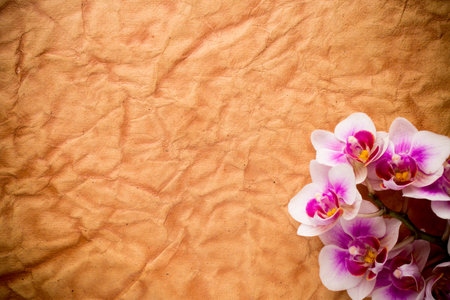 Orchids bloom. White with pink color. Spa card.の写真素材