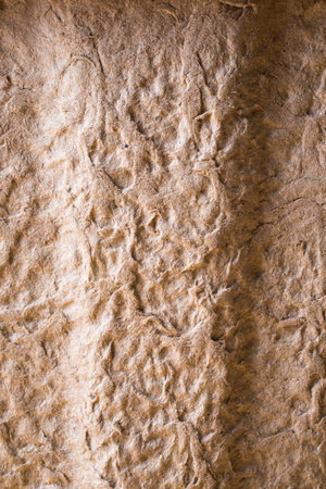 Old paper grunge textured. Studio photography.の写真素材