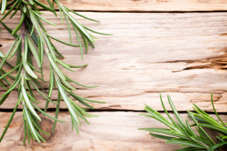 Rosemary twig on the wooden background.の写真素材