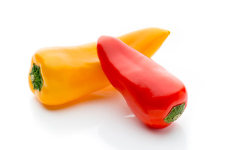 Pepper on the white ackground.の写真素材