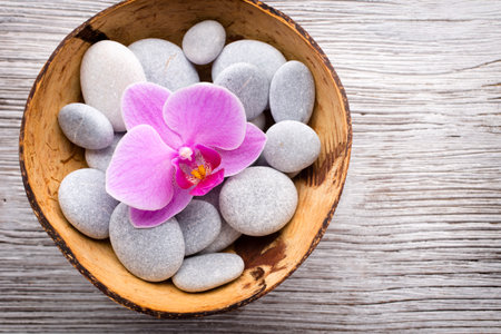 Pink orchid with buds. Greeting card.の写真素材