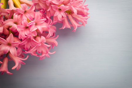 Pink hyacinth in a wooden table.の写真素材