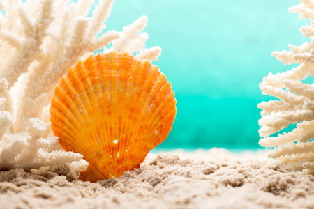Underwater coral, shells and sand. Sea scene.の写真素材