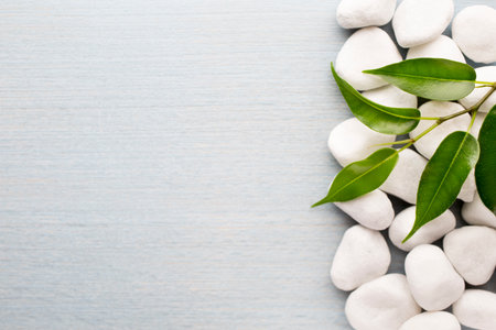 White pebble stone frame and leaf. Background.の写真素材