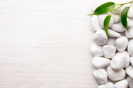 White pebble stone frame and leaf. Background.の写真素材